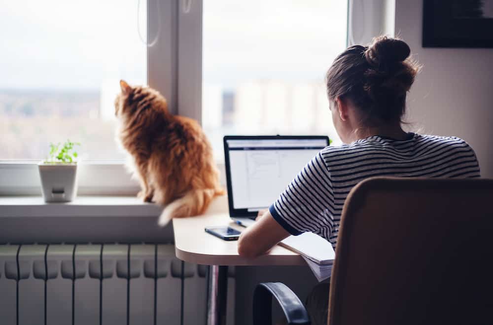 Find Freelance Work